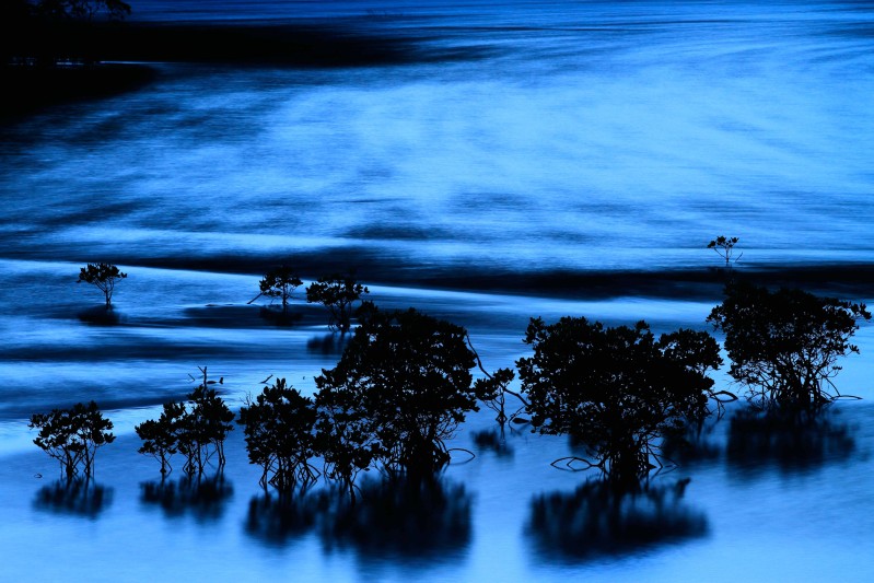 KudoPhoto (1 - 21).jpg